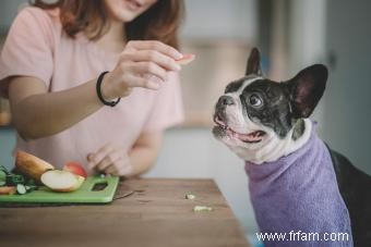 Les chiens peuvent-ils avoir des pommes ? Ou devraient-ils s abstenir de ces fruits ? 