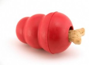 Cache-cache chaussette :un jeu amusant pour votre chien 