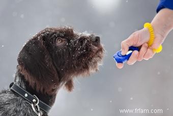 Entraînement au clicker pour chien 