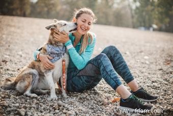 Comment rendre la course avec vos chiens sûre et sans stress 