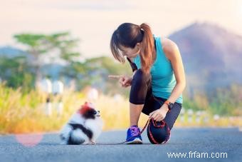 Comment rendre la course avec vos chiens sûre et sans stress 