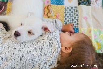 Comment préparer votre chiot à l arrivée de bébé 