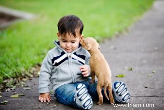 Comment préparer votre chiot à l arrivée de bébé 