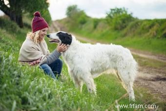 Bases de la race de chien Barzoï (de ses traits à la santé) 