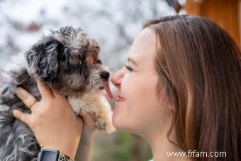 Introduction ultime à l Aussiedoodle et à ses caractéristiques 