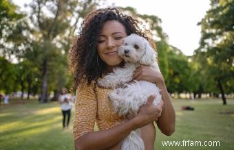 36 races de chiens hypoallergéniques :faciles à aimer et à vivre 