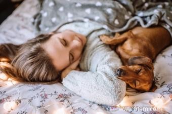 4 positions de sommeil pour chien et ce qu elles peuvent vous dire 