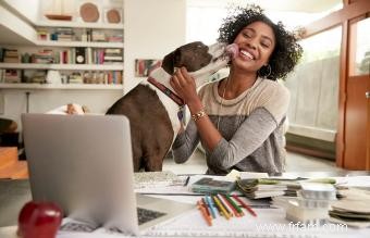 Les bases quotidiennes des soins pour chiens pour garder votre chiot heureux et en bonne santé 