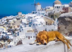 Noms de chiens de la mythologie grecque dignes de Zeus lui-même 