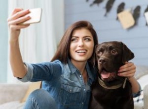 Comment prendre une belle photo avec votre toutou 