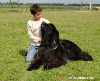 Races de chiens petites, moyennes et grandes bonnes pour les enfants 