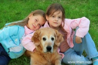 Races de chiens petites, moyennes et grandes bonnes pour les enfants 