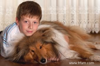 Races de chiens petites, moyennes et grandes bonnes pour les enfants 