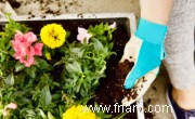 11 conseils faciles pour planter des pots de fleurs qui fleuriront 