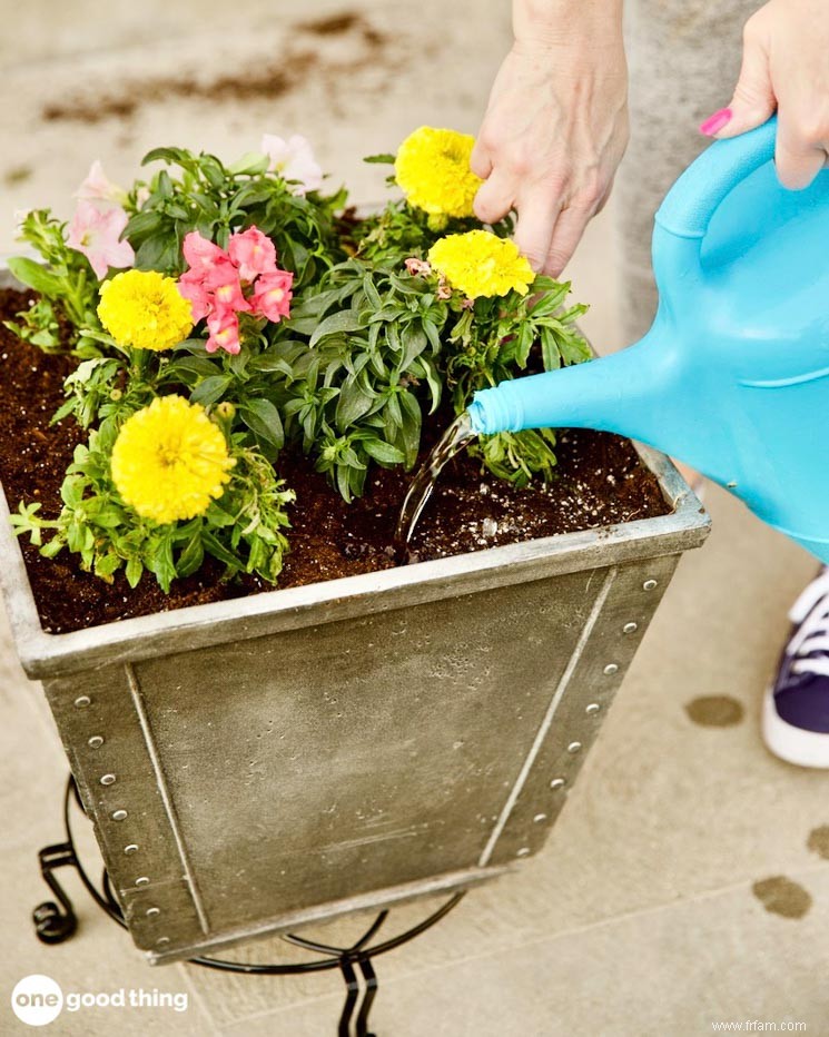 11 conseils faciles pour planter des pots de fleurs qui fleuriront 