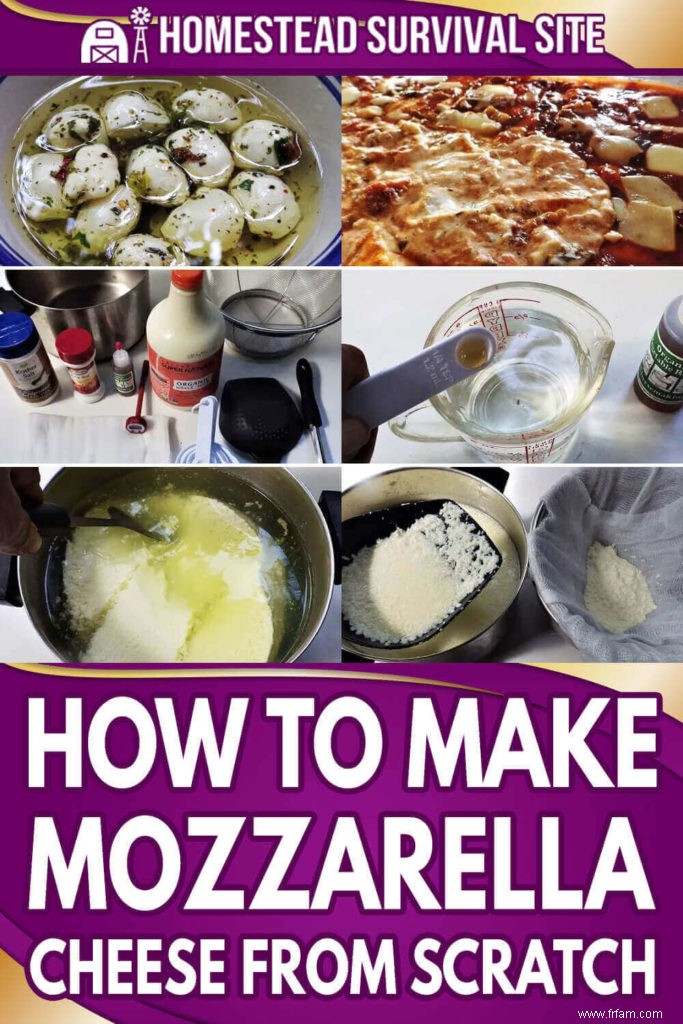 Comment faire du fromage mozzarella à partir de zéro 