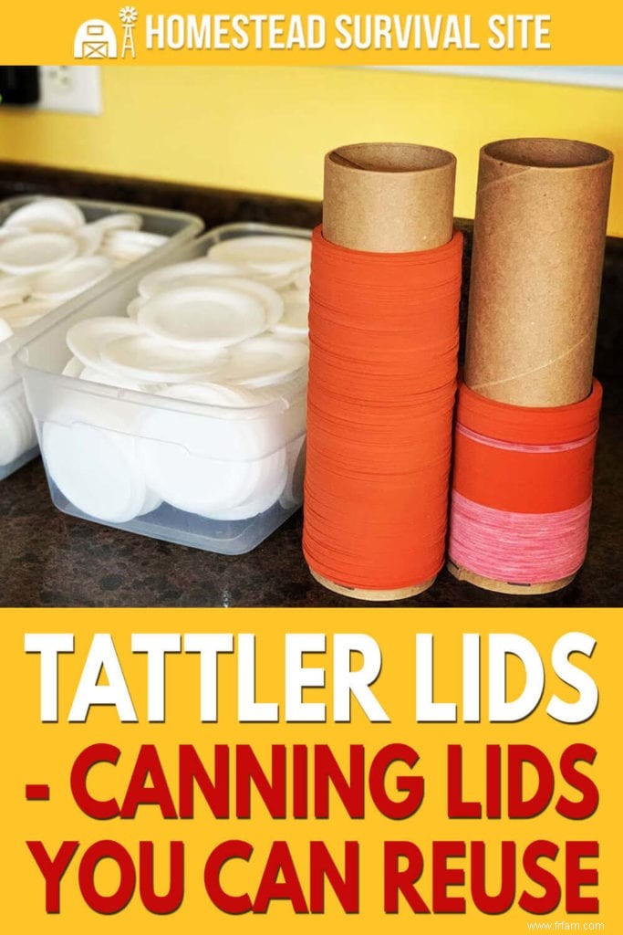 Tattler Lids – Couvercles de mise en conserve que vous pouvez réutiliser 