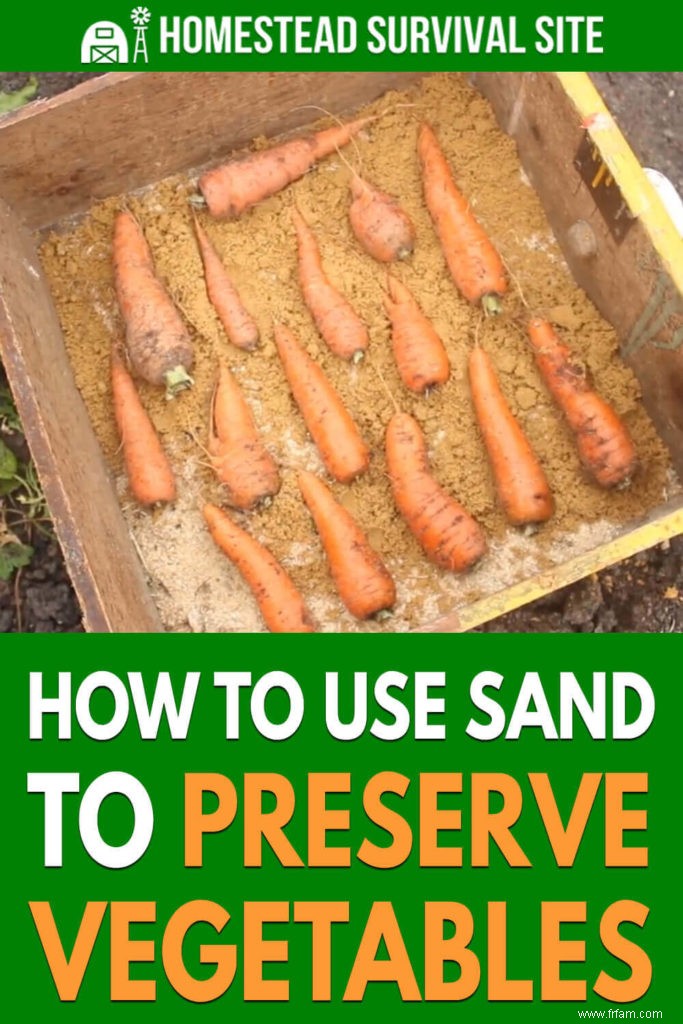 Comment utiliser le sable pour conserver les légumes 