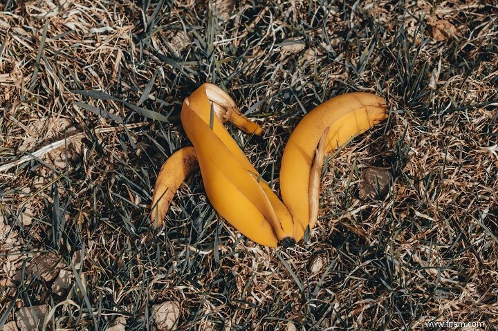 Comment et pourquoi utiliser des pelures de banane au jardin 