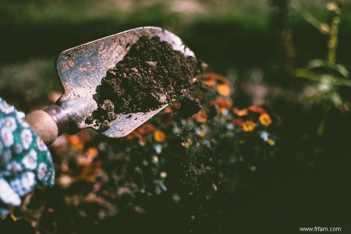 Jardinage biologique - Comment démarrer un jardin biologique en 6 étapes 