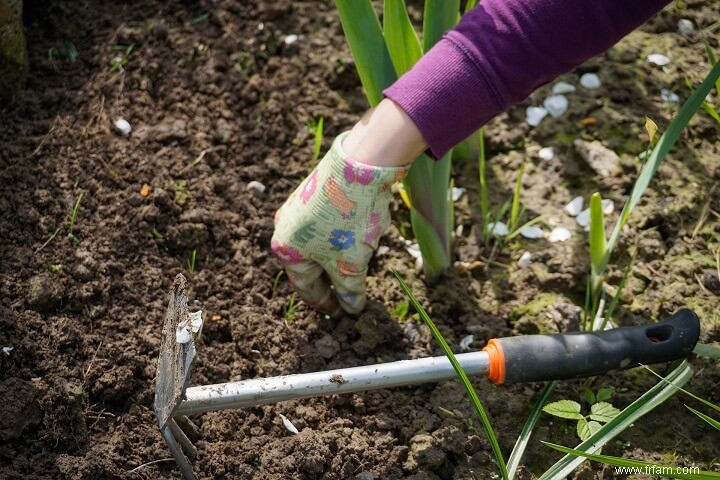 Jardinage biologique - Comment démarrer un jardin biologique en 6 étapes 