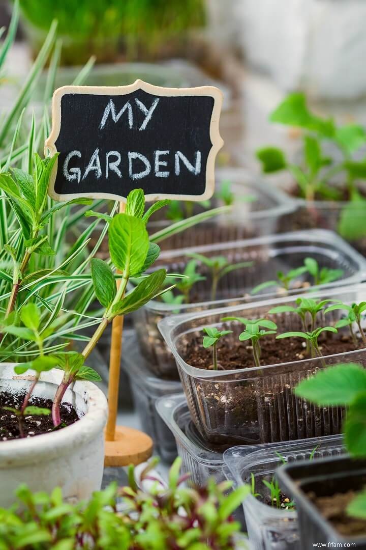 7 choses à faire pour les jardiniers en hiver 