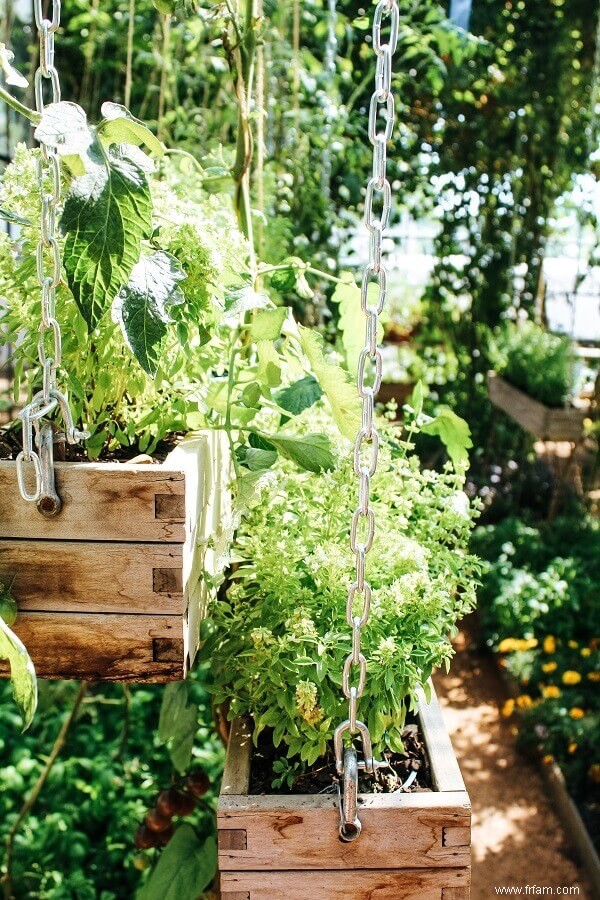 Comment faire pousser des aliments dans des jardinières suspendues 