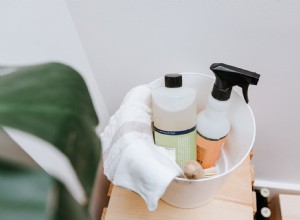 Comment nettoyer correctement après une maladie domestique 