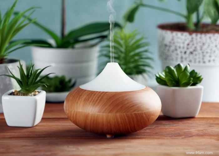 Comment purifier l air de votre maison naturellement 