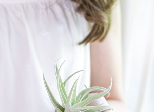 Les secrets pour ne pas tuer votre usine d air 