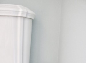 Entretien de la brosse de toilette 101 :Fini le dégoût 