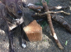 Bûche de pétanque de camping 