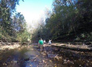 Les chaussures aquatiques dont nous pensons ne pas avoir besoin mais que nous utilisons presque toujours 