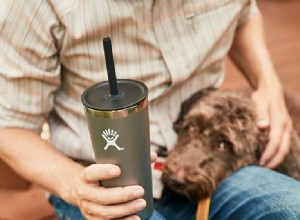 6 produits vous rendront plus écologique à l extérieur cet été 