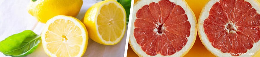 6 meilleurs fruits pour perdre du poids (selon un nutritionniste) 