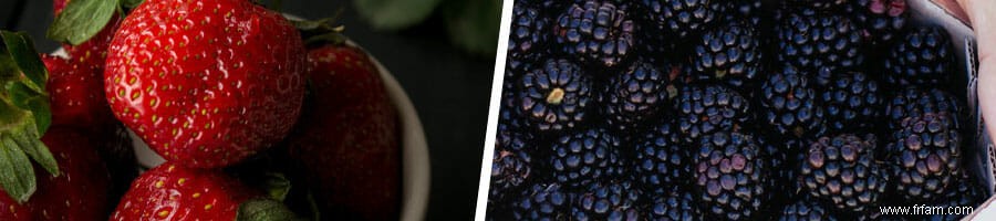 6 meilleurs fruits pour perdre du poids (selon un nutritionniste) 