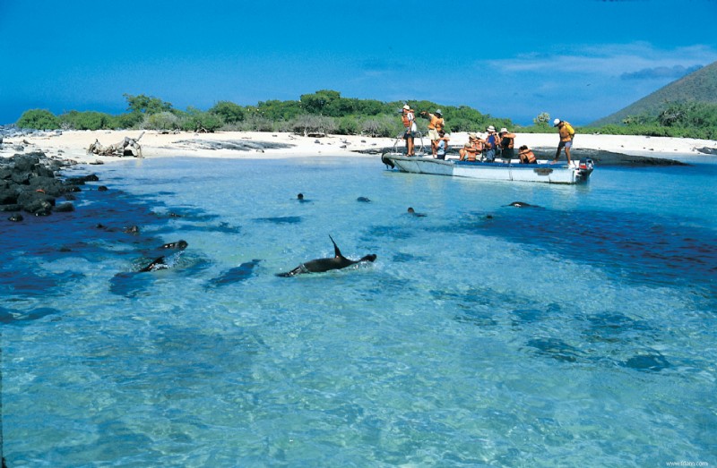 Explorez les îles Galápagos 