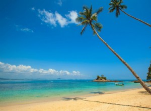 Le guide d emballage essentiel pour la plage 