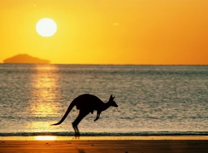 Explorer l Australie - Le meilleur de 