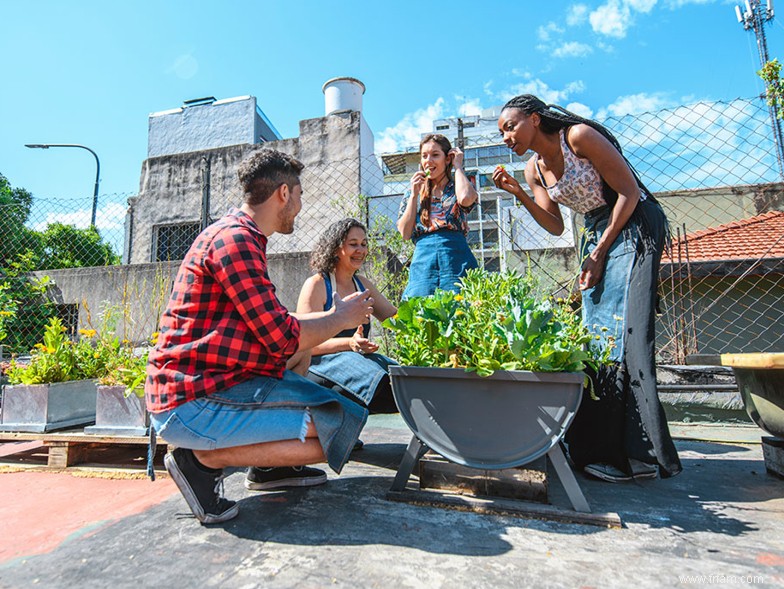 Comment créer un jardin urbain 