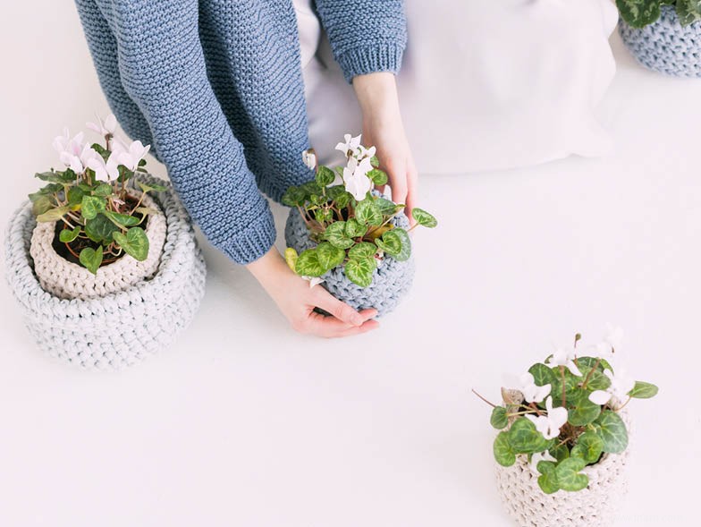 Comment concevoir un jardin économe en eau 