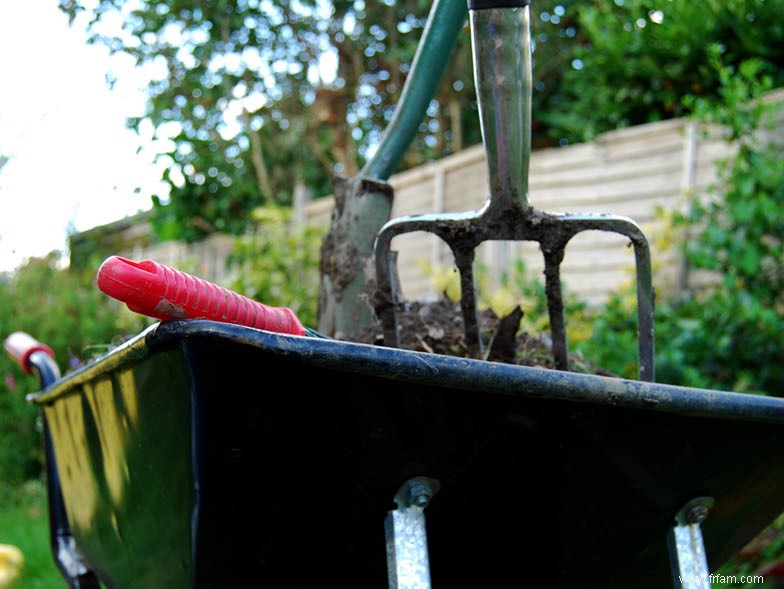 Comment préparer les plantes pour le temps froid 