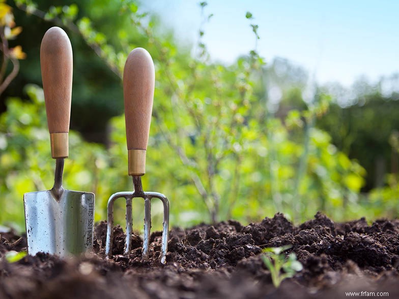 Comment entretenir votre jardin cet été 