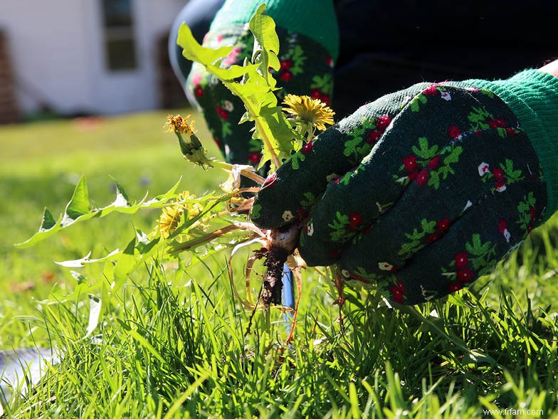 Préparer votre jardin pour l automne 