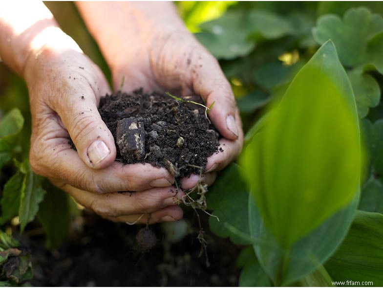 Préparer votre jardin pour l automne 