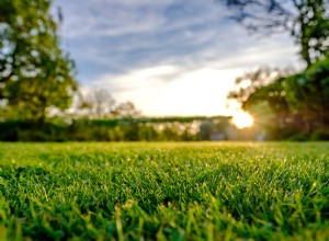 Entretenir vos espaces extérieurs cet été 