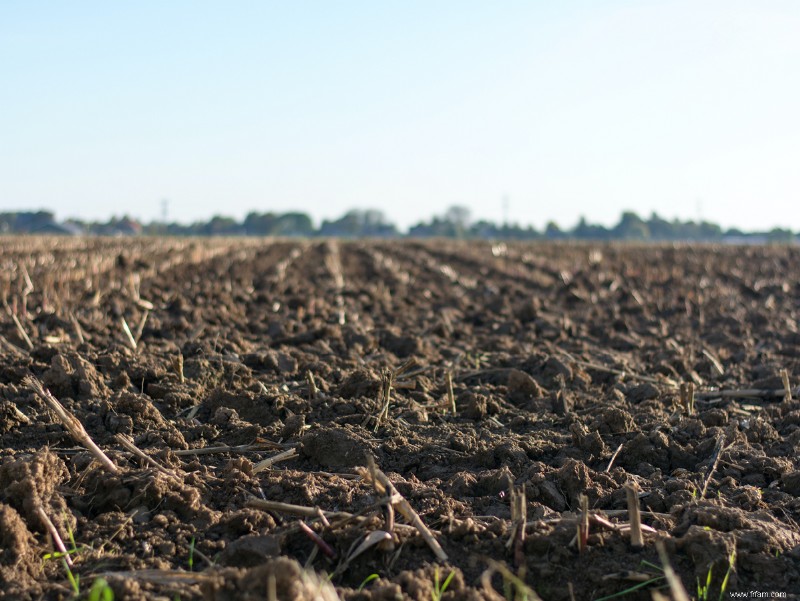 Huit choses à considérer lors du choix d un terrain sur lequel construire 