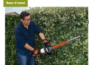 6 taille-haies électriques (à partir de 100 €)