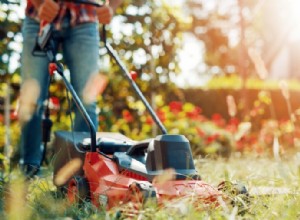 Choisir le type de tondeuse à gazon adapté à sa pelouse