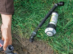 Installation dun système darrosage automatique dans le jardin